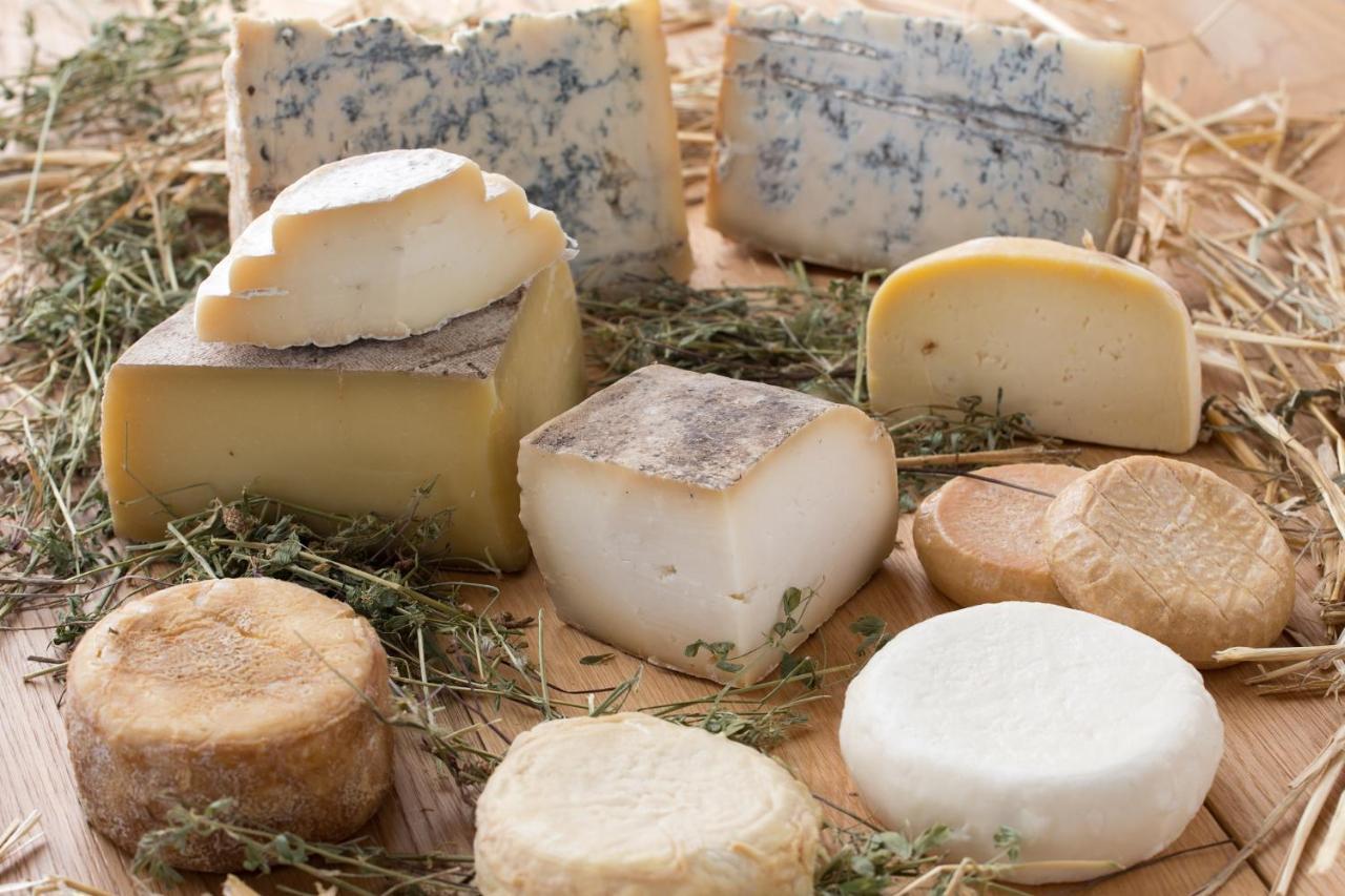 Cascina Marcantonio Acqui Terme Ngoại thất bức ảnh