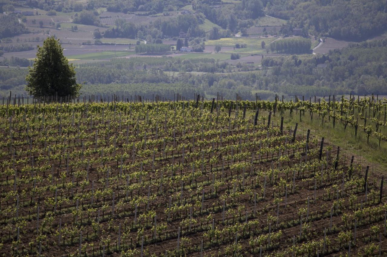 Cascina Marcantonio Acqui Terme Ngoại thất bức ảnh