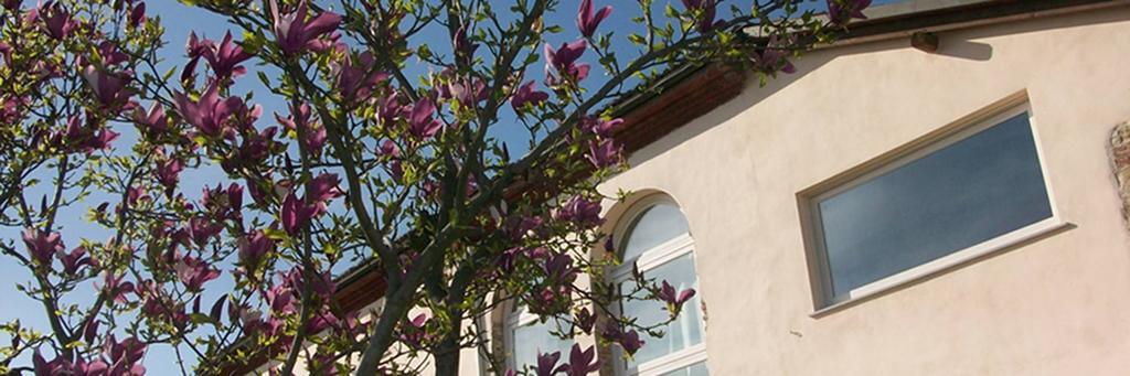 Cascina Marcantonio Acqui Terme Ngoại thất bức ảnh