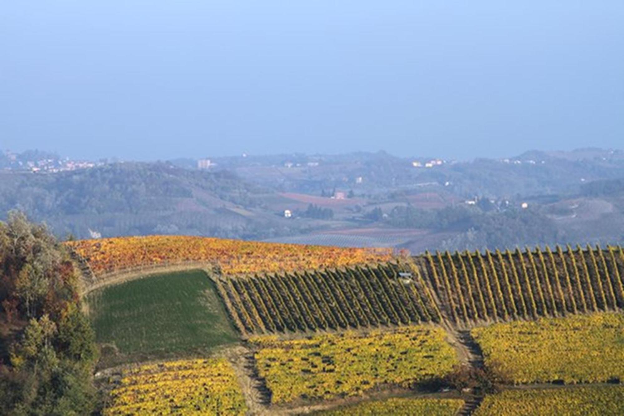 Cascina Marcantonio Acqui Terme Ngoại thất bức ảnh